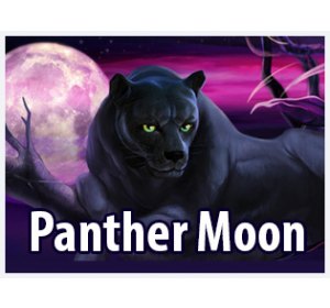 How to play Panther Moon in ACE333